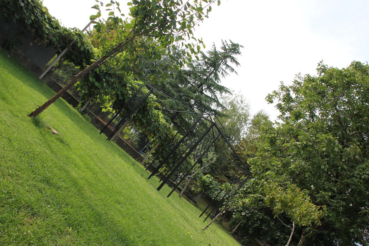 Bed and Breakfast Casa Pellis Fagagna Esterno foto